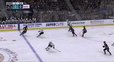 Hockey Sabres GIF