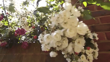 Summer Sun GIF