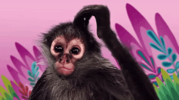 itziarlazkano  GIF