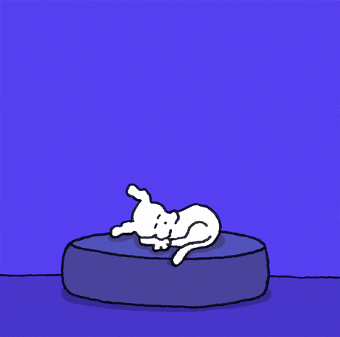 Night night and it's only 11:27 a.m. over here