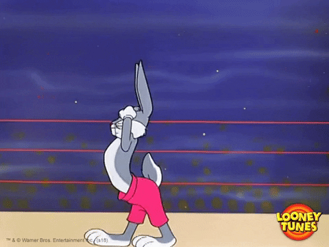 Bunnie GIFs - Get the best GIF on GIPHY