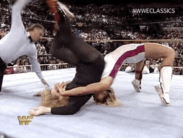 Wrestlemania X Wrestling GIF by WWE