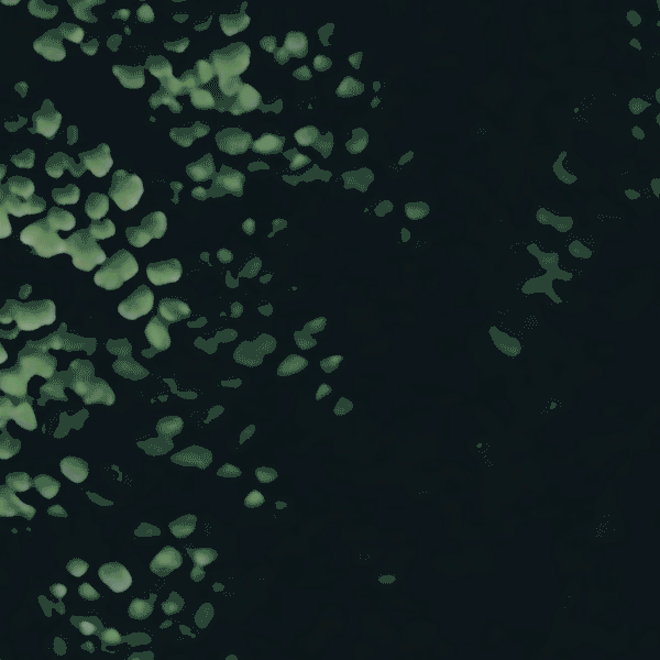 Fly Peace GIF