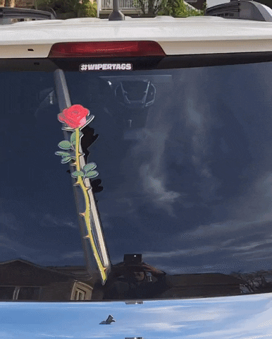 Redrose GIF by WiperTags Wiper Covers