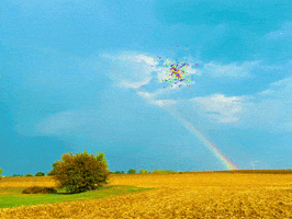 Rainbow GIF