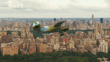 flying new york GIF