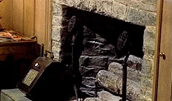 the birds film GIF