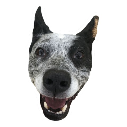 OTM Sticker