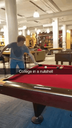 College Pool GIF by Kathryn A. Martin Library