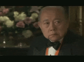 Princess Diaries No GIF