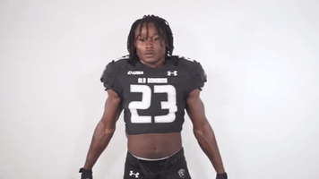 Monarchreign GIF by sgrubbs