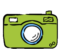 Travel Picture Sticker by GO Voyages