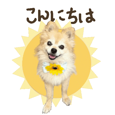 パルレオ Sticker