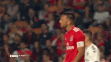 sl benfica slbgifs GIF by Sport Lisboa e Benfica