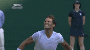 tennis yes GIF by Wimbledon