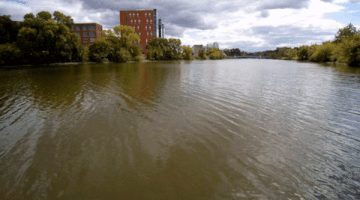 200.gif?cid=fc005b081330a0bdfcbc59f668104becee7ce14a4e41056e&rid=200.gif&ct=g