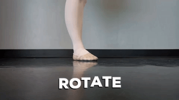 Dance Ballet GIF
