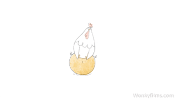Chicken Sitting GIF by WONKY