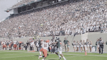 Celebrate College Football GIF by Michigan State Football
