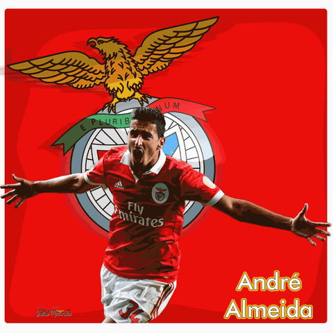 Benfica GIF