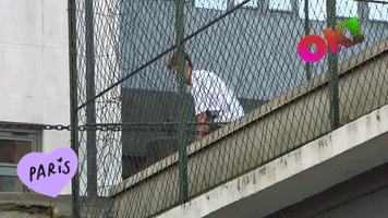 200.gif?cid=fc005b08fd4943f6578b69b1492c32384caa9e703a20648a&rid=200.gif&ct=g