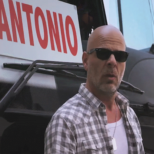 Bus Bruce GIF