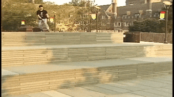 Fallen Footwear Skateboard Tricks GIF by Chris Cole