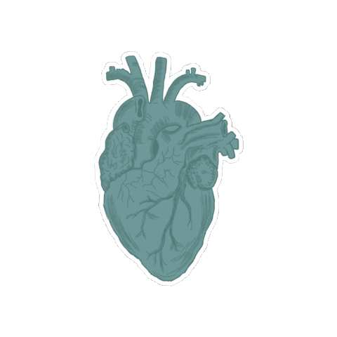 Camiaguilarm Sticker