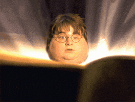 Harry Potter Book GIF