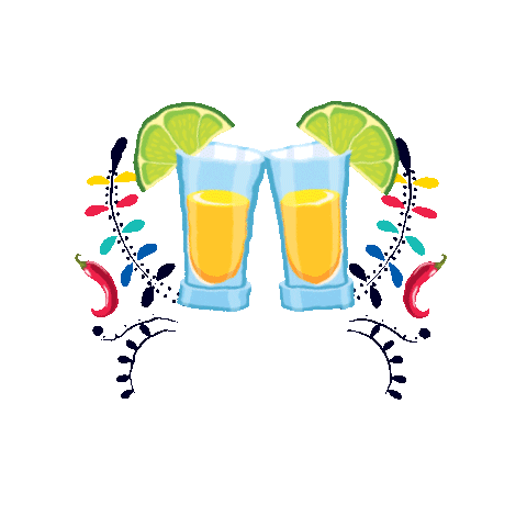 Cinco De Mayo GIFs on GIPHY - Be Animated