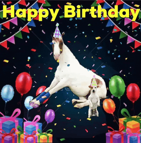 Horse-birthday GIFs - Get the best GIF on GIPHY