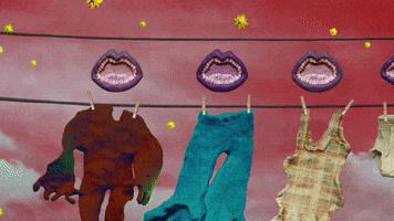 GIF by Carpark Records