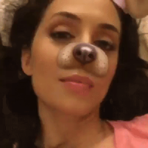 giphy.gif?cid=ecf05e47so0yxccbjro6fo8d1z