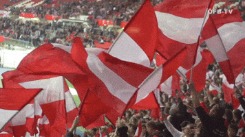 northern ireland football GIF