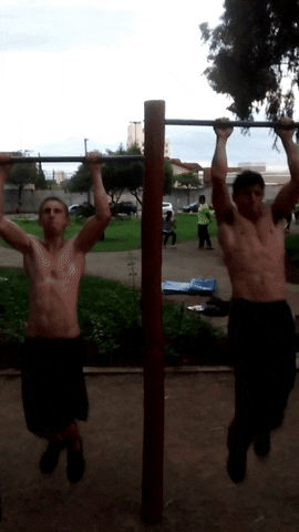 maxdbeoliveira calistenia #dbe #pullup GIF