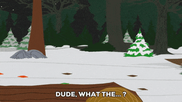 squirrel jumping GIF by South Park 