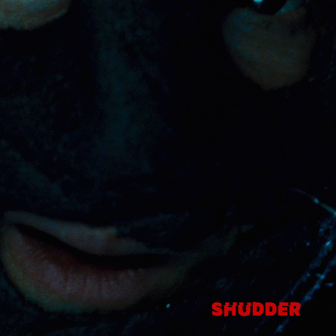 the collector horror GIF by Shudder