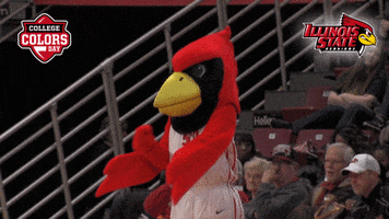 College Sports Smh GIF by College Colors Day
