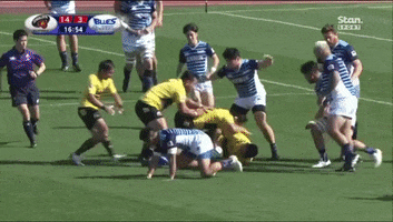 Rugby Union GIF