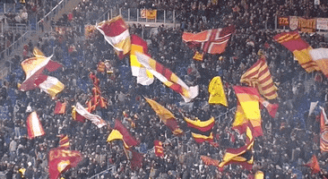 serie a applause GIF by AS Roma