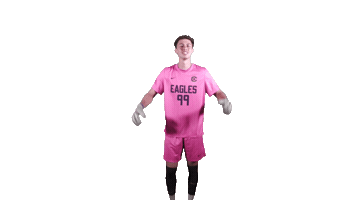 Goalkeeper Goalie Sticker by Carson-Newman Athletics