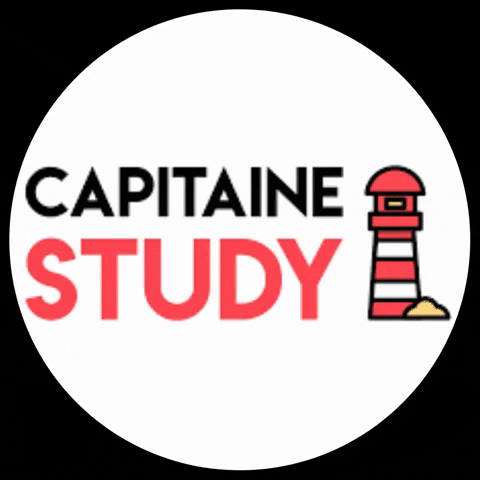 Design School GIF by Capitaine Study