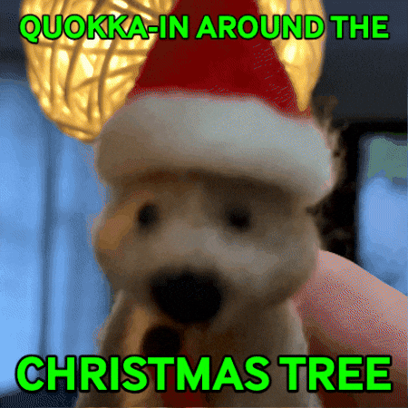 Merry Christmas Quokka GIF