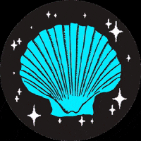 shell-loveboard-1jkSrLRJnCE6yQcHU9