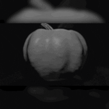 Talks From The Crypt GIF