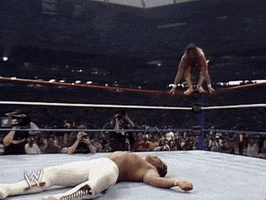 Wrestlemania Iii Wrestling GIF by WWE