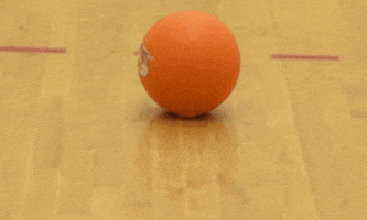 throw dodgeball GIF by DC Fray