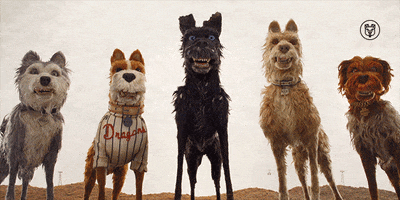 Wes Anderson GIF by Searchlight Pictures