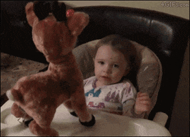funny pictures GIF