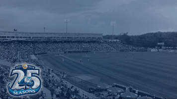 Homerun GIF by West Michigan Whitecaps 